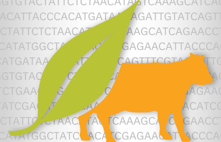 Plant and Animal Genotyping