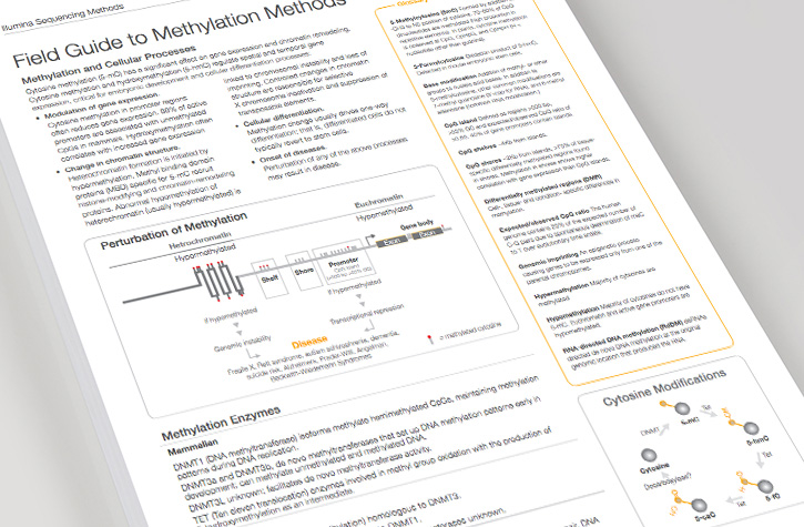 methylation field guide