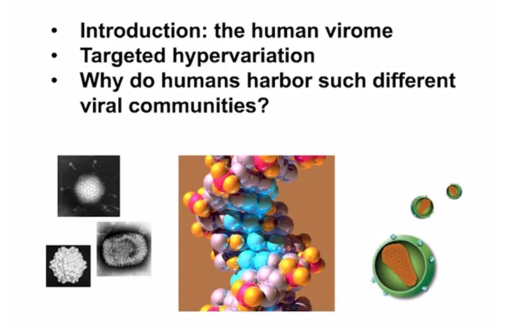 Composition and Dynamics of the Human Gut Virome