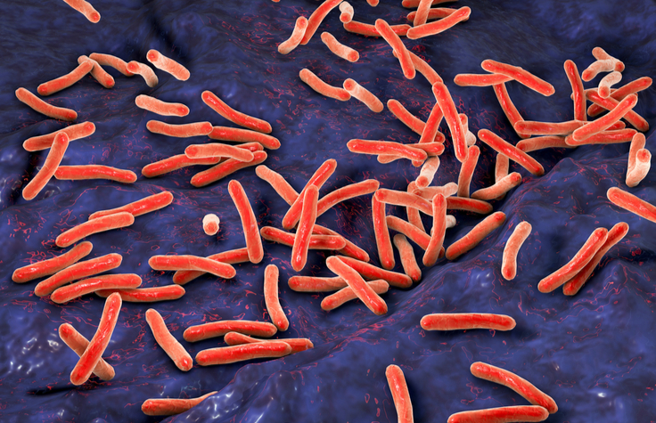 Seeking the Source of Bacterial Drug Resistance