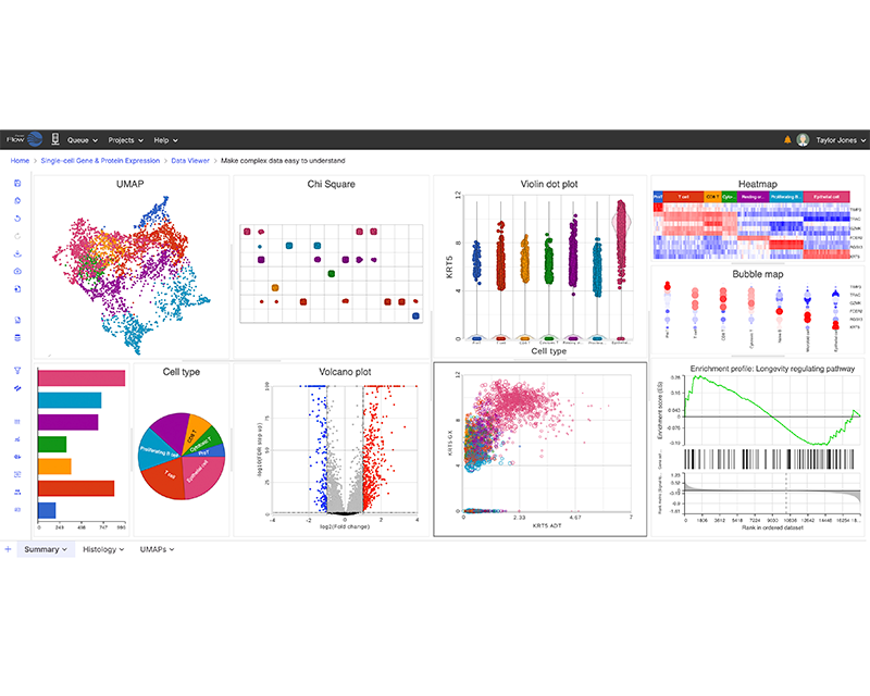 Partek interface screenshot