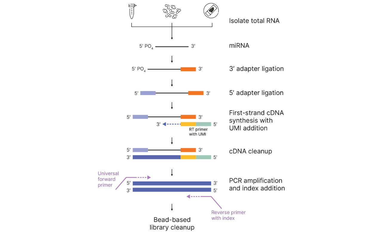 Illumina miRNA Prep chemistry