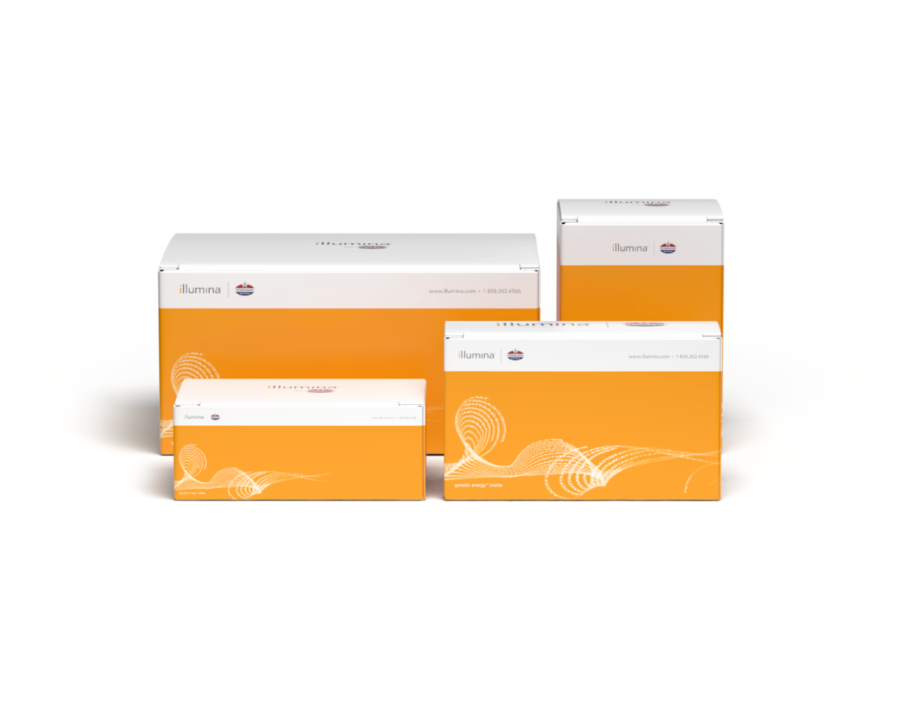 Protein Prep Packaging