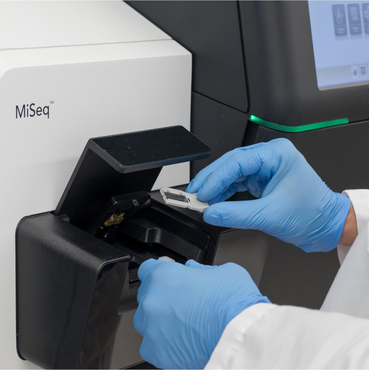 MiSeq library prep